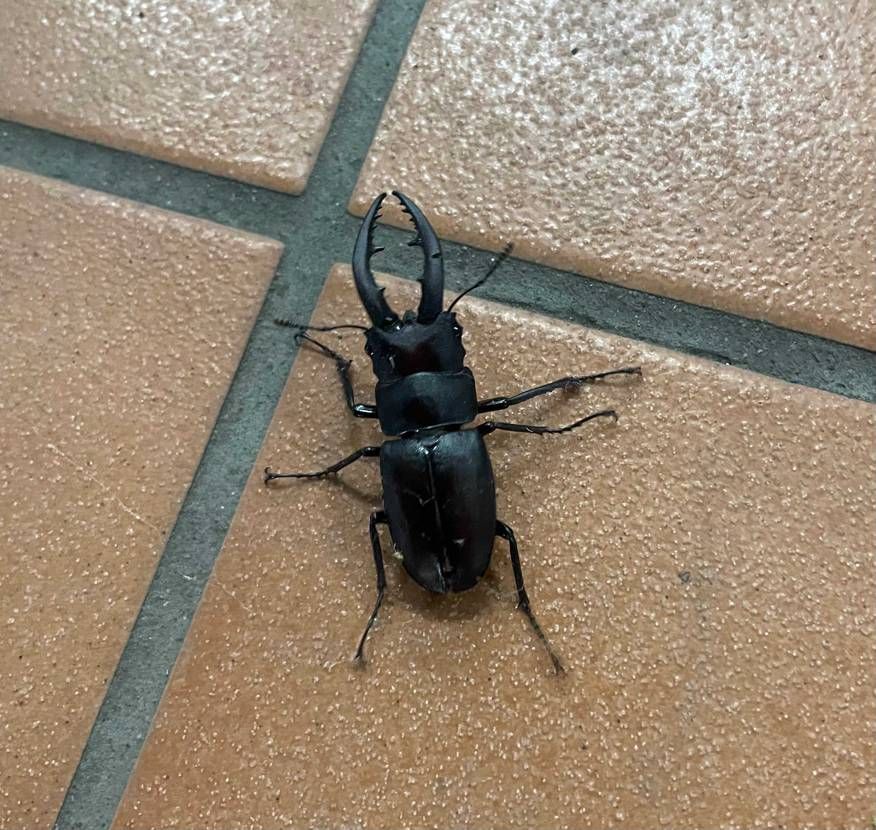 ほんま好き🫶🫶🫶
そしてやはり夏☀️