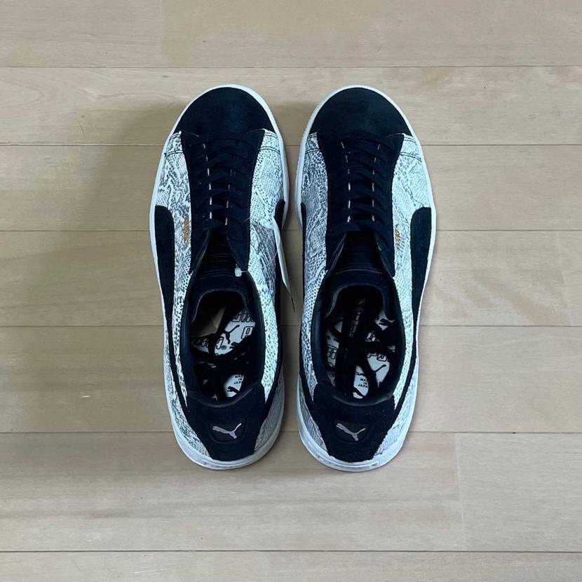 JPN Basket Python
2013年の巳年にちな