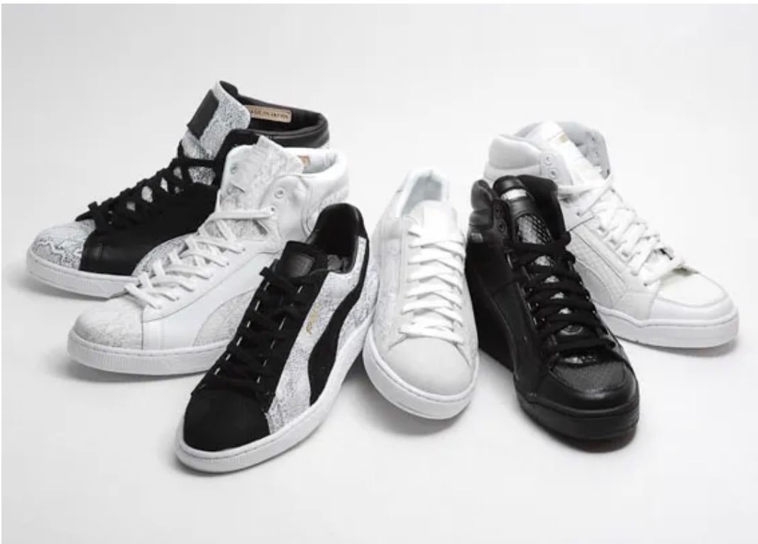 JPN Basket Python
2013年の巳年にちな