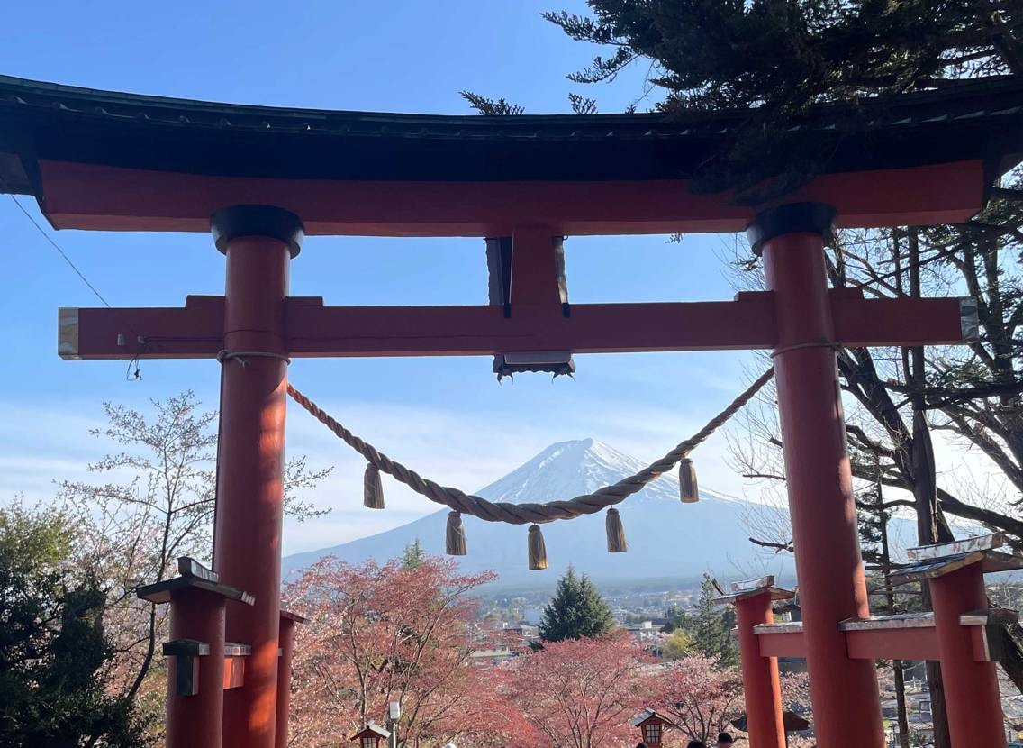 久しぶりに地元をがっつり歩いてぐったり🗻
観光客外国の方ば
