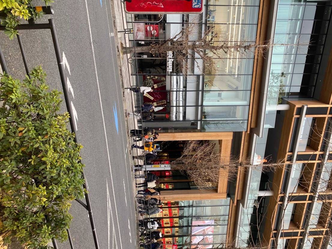 N原ここまでいます!