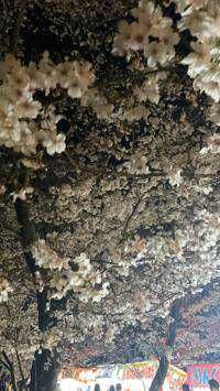 し