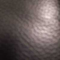 h.s