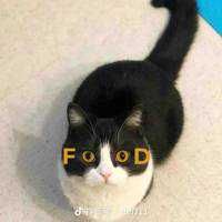 eda