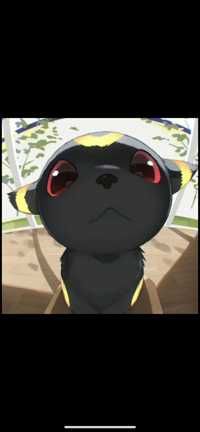 chiruru