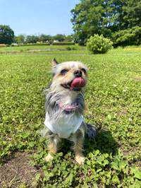 ユーザーアイコン