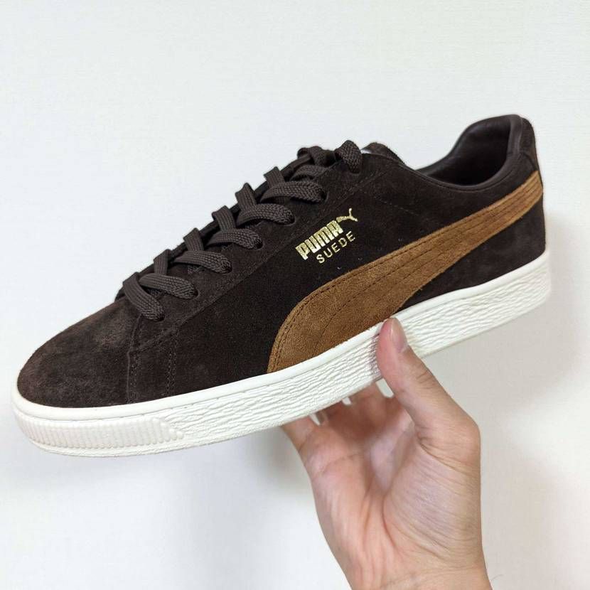 NOAH🔥🔥🔥これはやったっぽい…！？
（勘違いだったらすいません。笑）