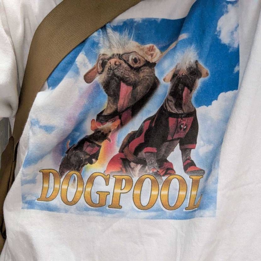 あっついけど今日はこれ履いてました🥵
DOGPOOLのTシ