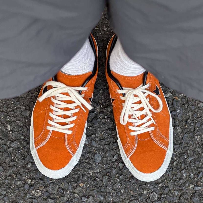 カラシは購入見送ったのですが近くのお店で売ってるの見つけてうっ…となってます😶‍