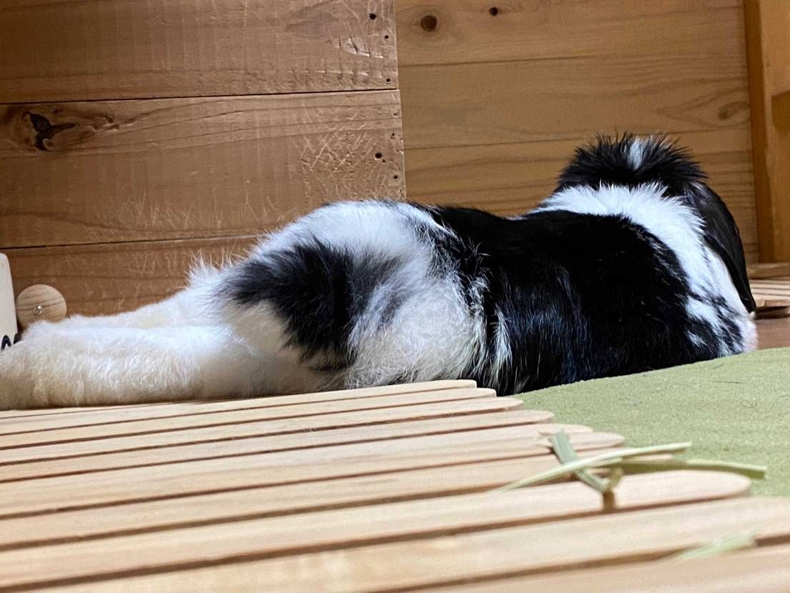 良きかなー🤭
良きかなー🤭