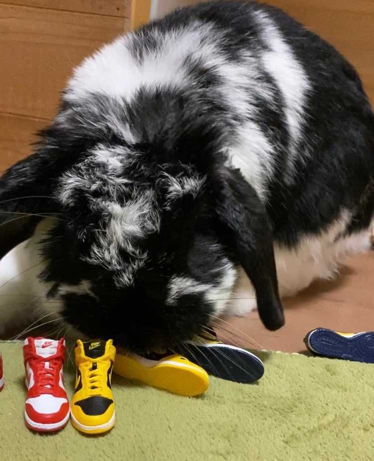 ぽいっ🤘
ポイっ🤘
ポォーい(つД`)ノ👟


おやすみなさい😴