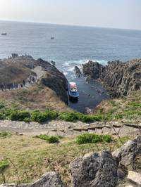 馬油