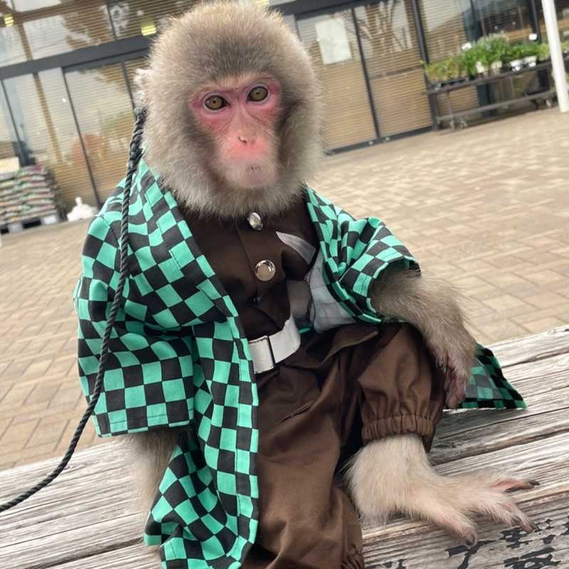 ミミズくん
