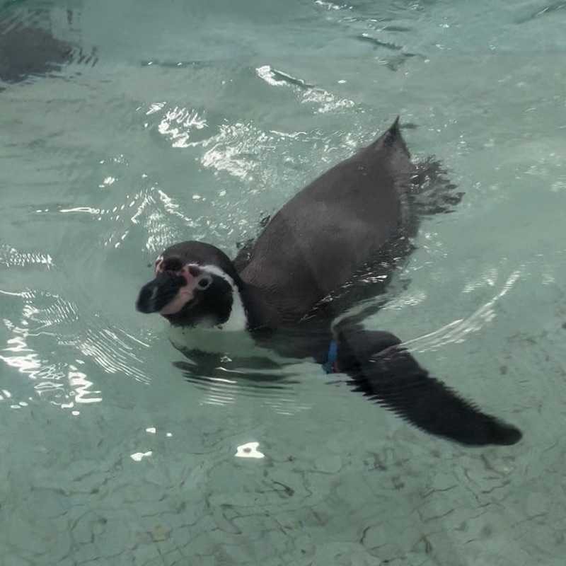 もーりー
