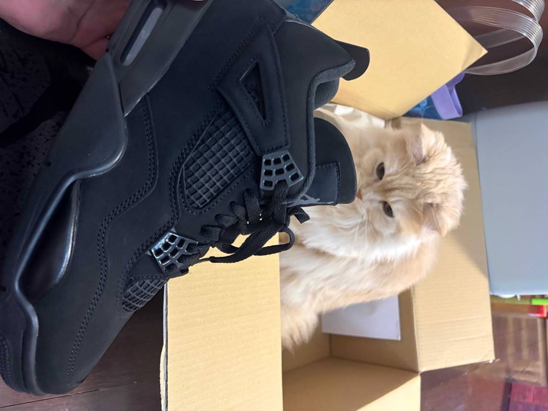 高いけど最高ですね！
買いやすい時代になりました。