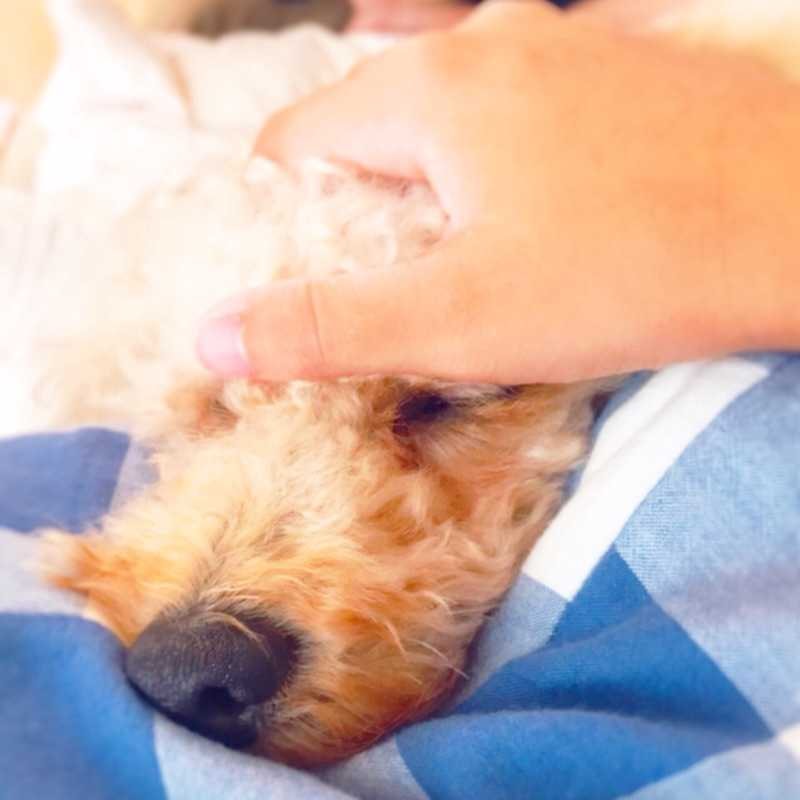 ♪chizuko.k♪