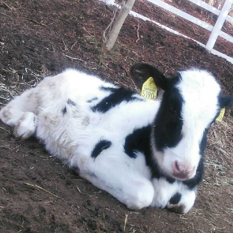 なるﾁｬﾝ♡*゜