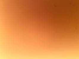 田中ライノスゆうた