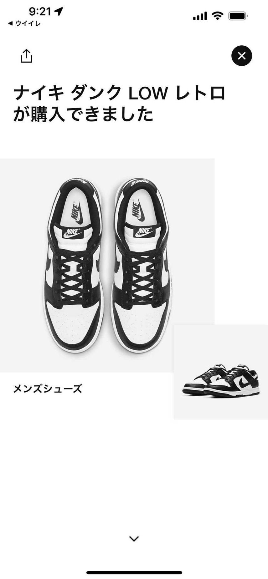 やっとおれの元にもパンダ🐼