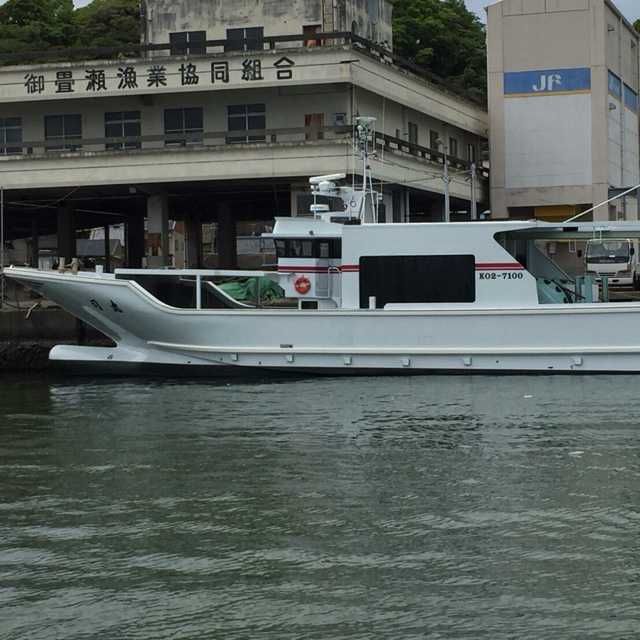 智(出品者)