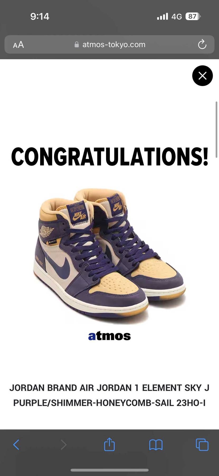 支払いが怖い………