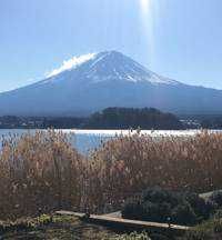 ら