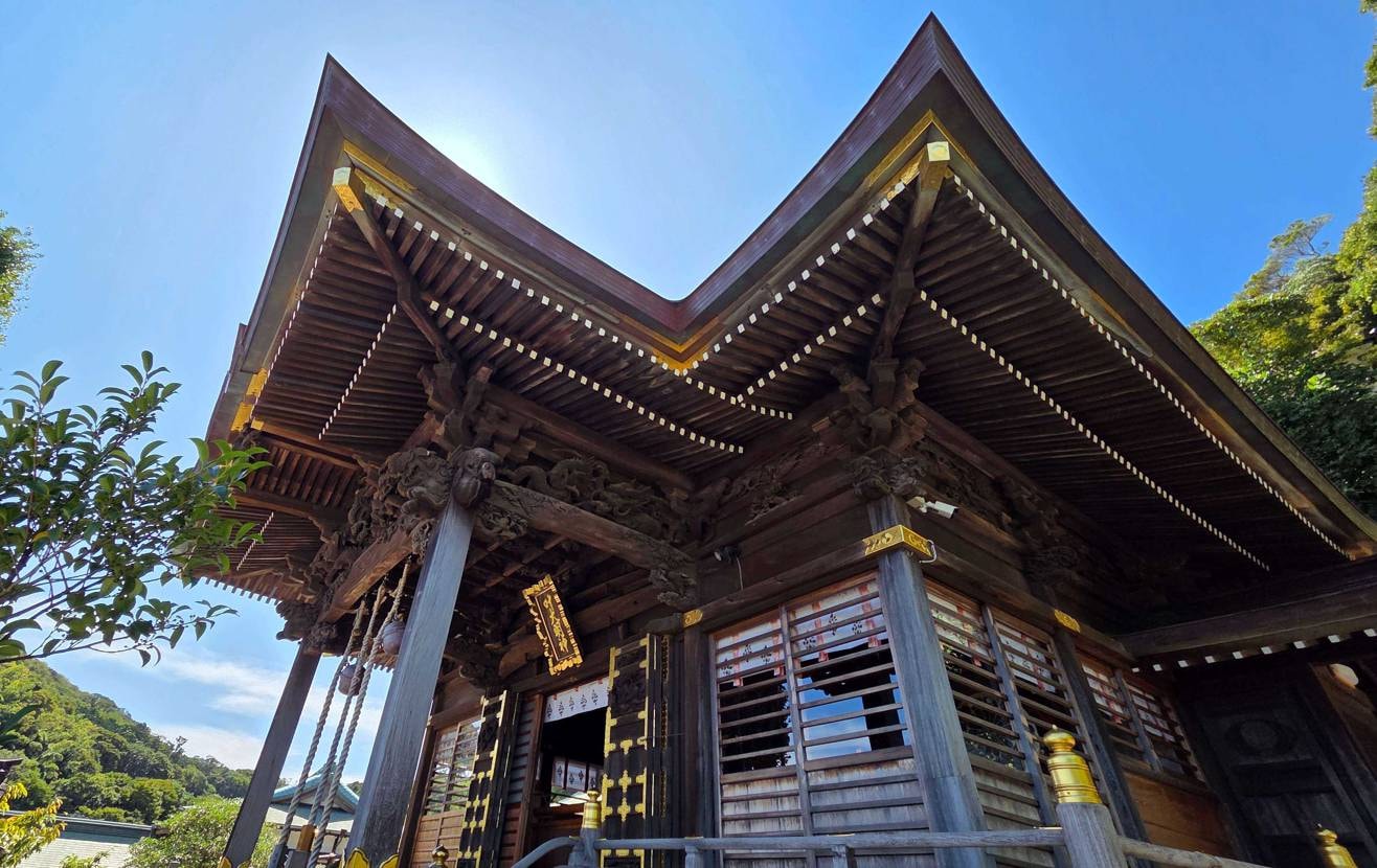 今月の⛩️神社参拝🙏
お供の👟は、奥さんの『秋を先取り🫶』