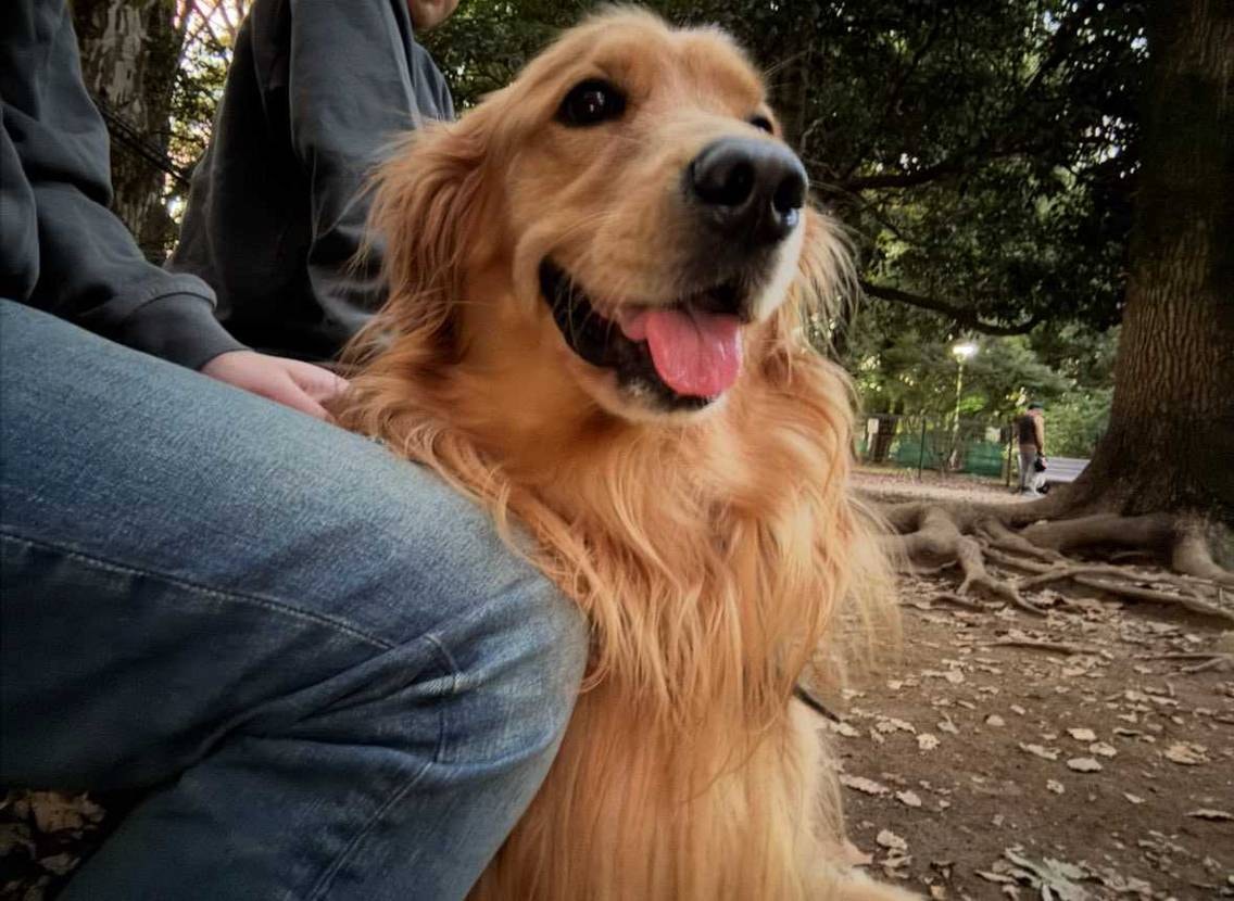 皆さんこんばんは✨️
連休2日目も充実しましたでしょうか😊