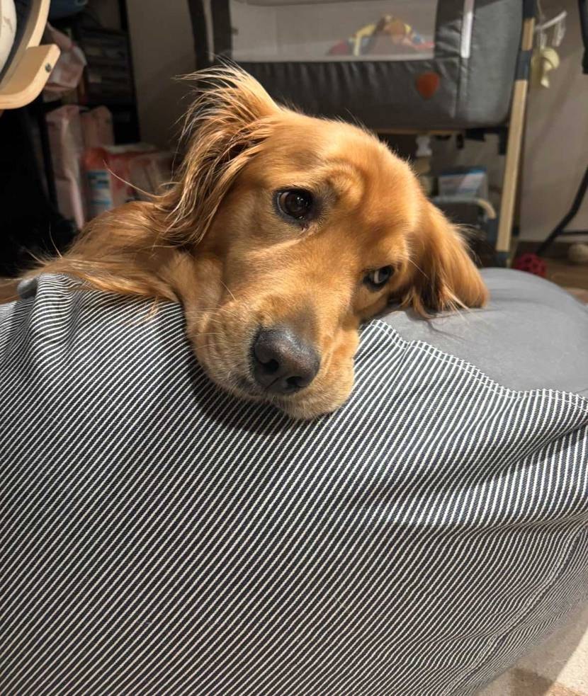 皆さんこんばんは✨️
あれやこれや忙しく本日遅めのスキマ時