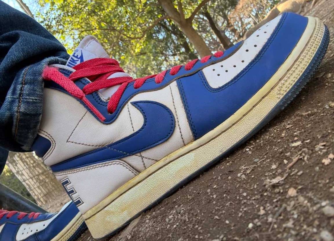 ナイキ ターミネーター ハイ 