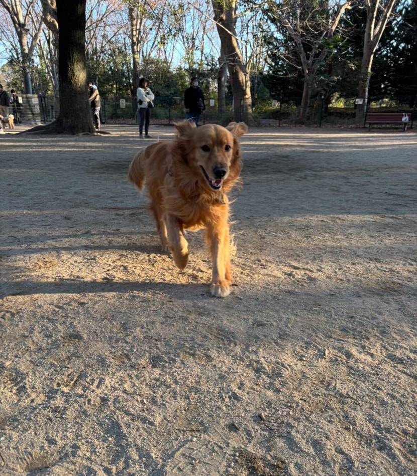 皆さんこんにちは✨
今日で正月＆育休が終わってしまう〜😭💦