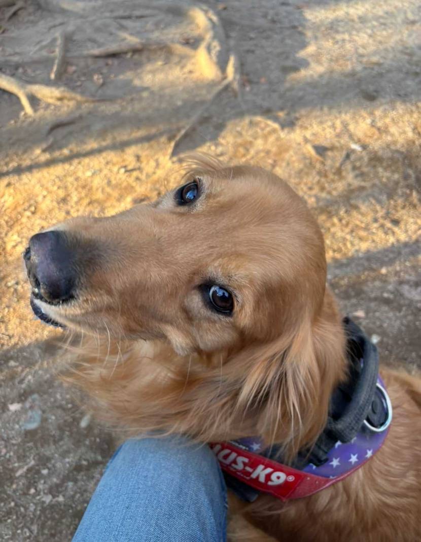 皆さんこんにちは✨
今日で正月＆育休が終わってしまう〜😭💦