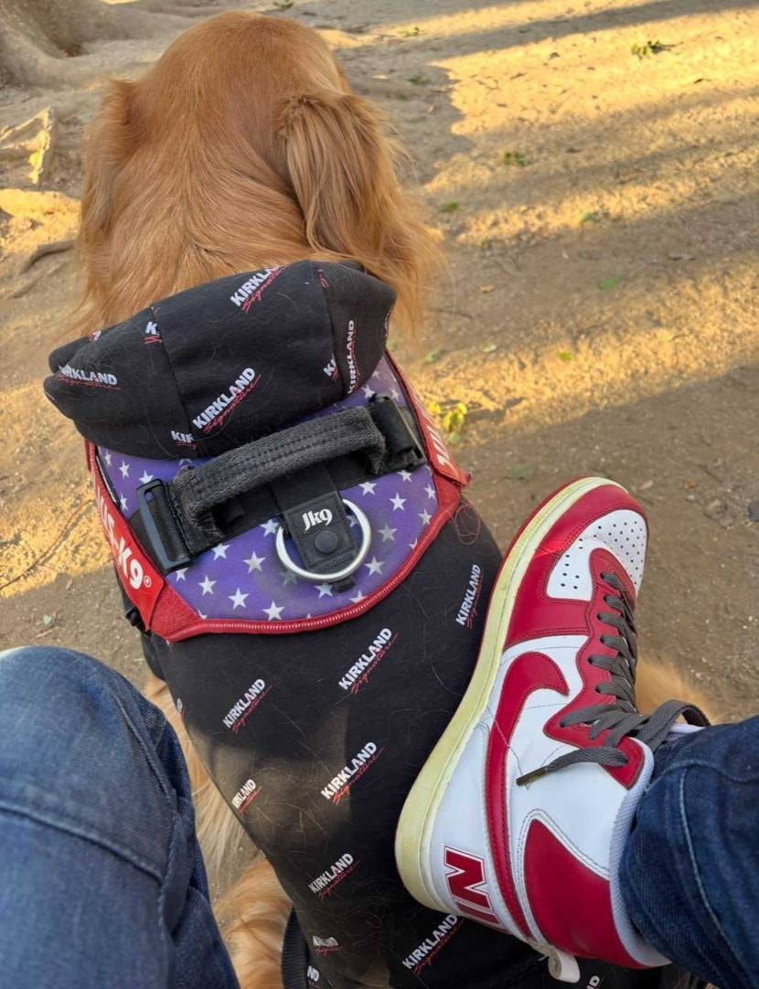 皆さんこんにちは✨
今日はドッグラン行ってきました🐶🎶
