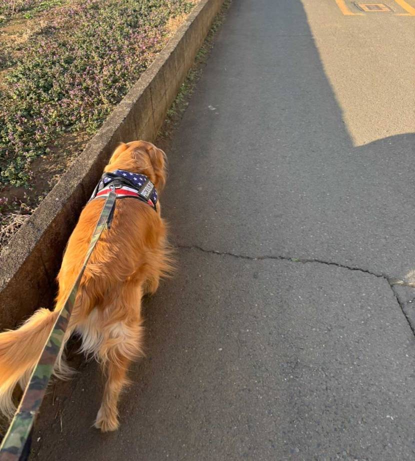 皆さんんこんばんは😊
実はtake2です🤣💦
何故か🔫💥