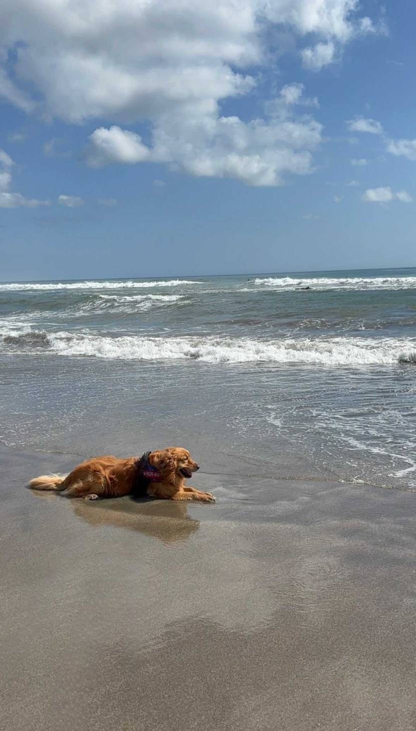 皆さんこんばんは✨️
暑さか本格化してきましたね🥵💦
昨