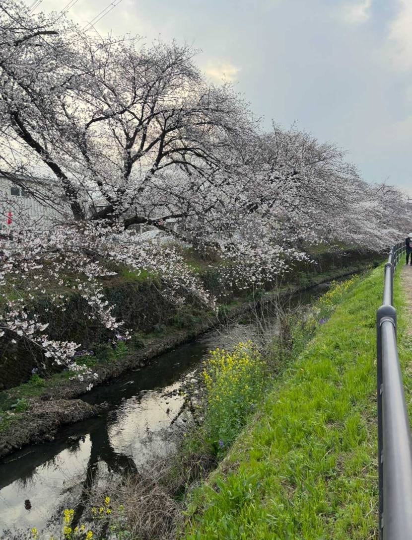 皆さんこんばんは✨️
本日は嫁のストレス発散dayの為、娘