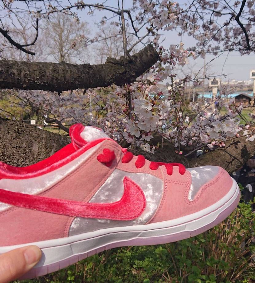 ストレンジラブの初履きで幸手市の権現堂公園へ桜を見に行ってき
