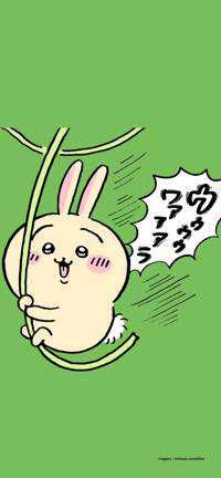 うさぎ