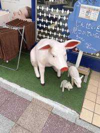 ぶう