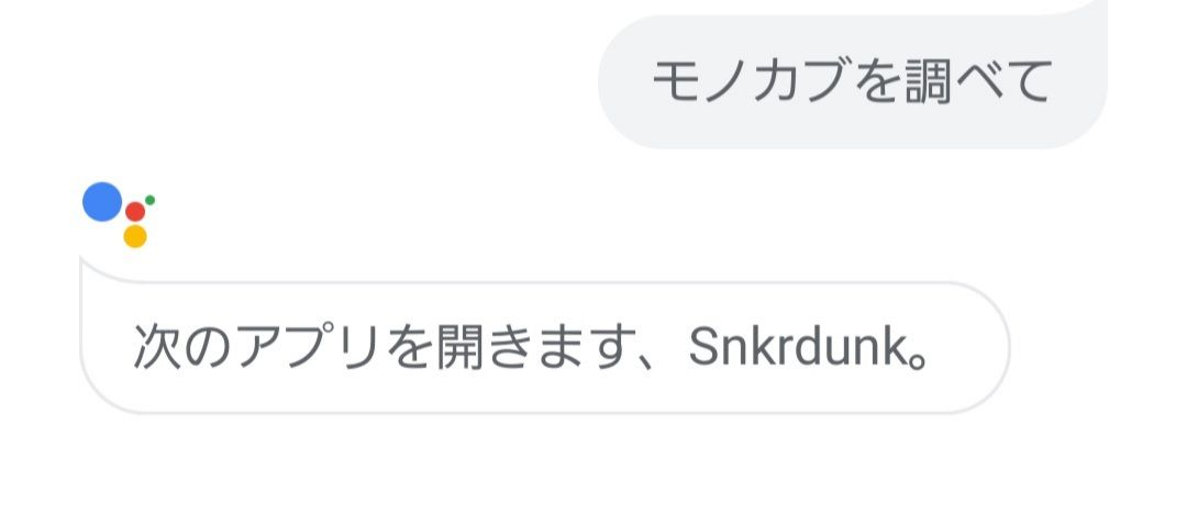 スニーカーダンクの陰謀！