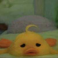 Rq