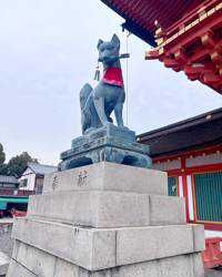 YonaYona