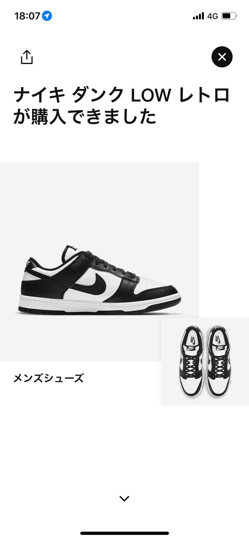 .comで初パンダ🤣