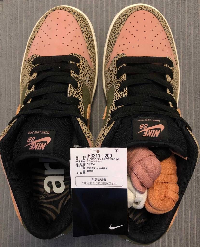Arts Rec × Nike SB Dunk Low Pro "Rust Pi