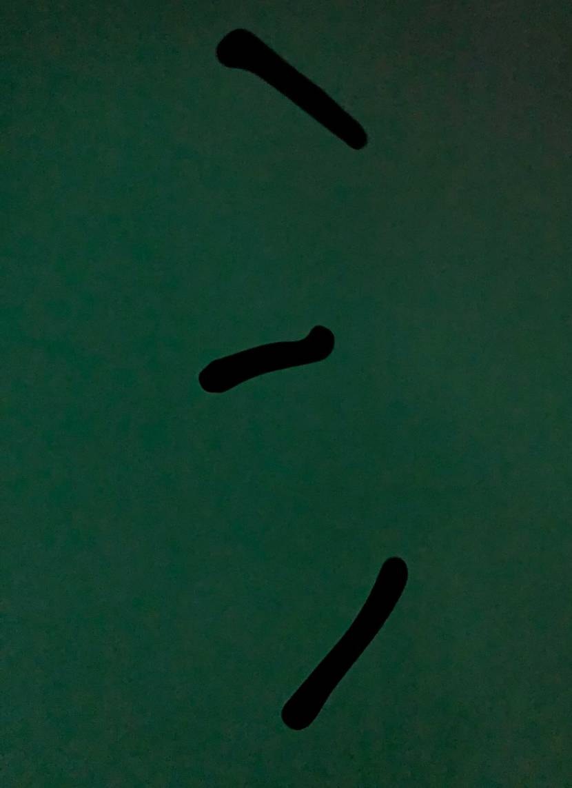 Travis Scott × Chase B × Nike 