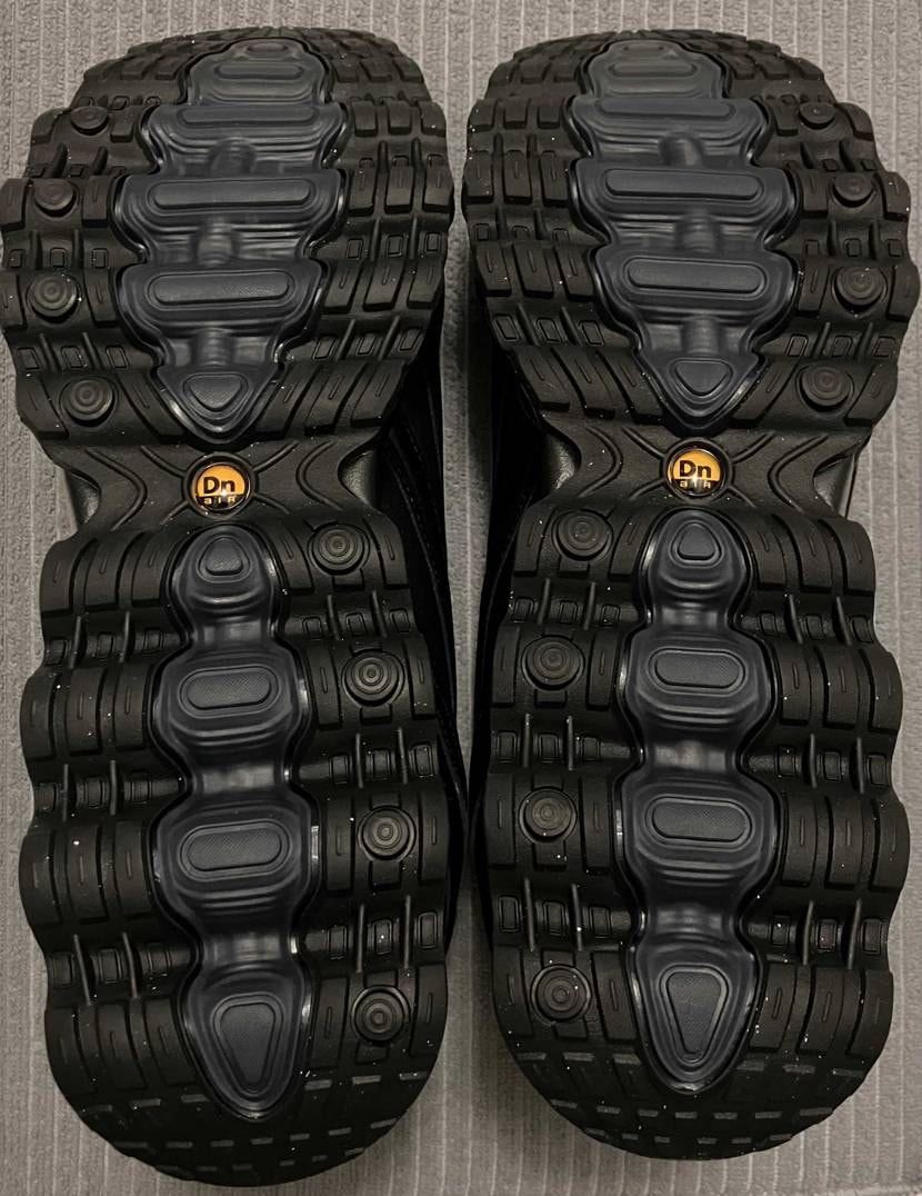 Nike Air Max DN8 "Leather/Trip