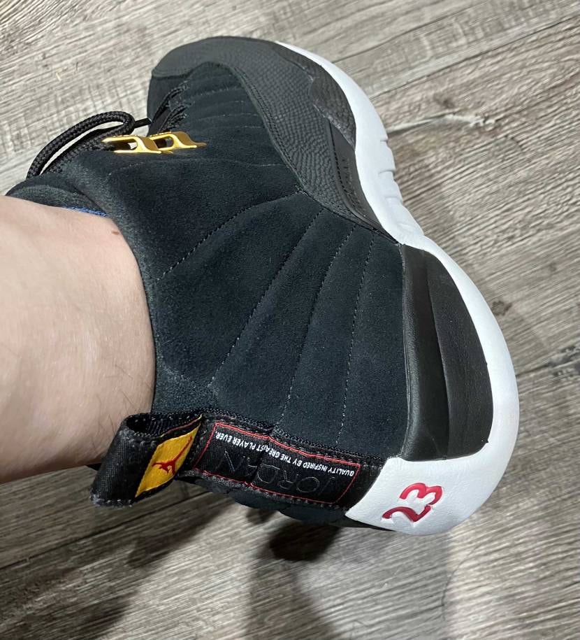 Nike Air Jordan 12 "Reverse Ta