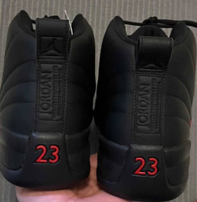 Nike Air Jordan 12 Retro "Bloo