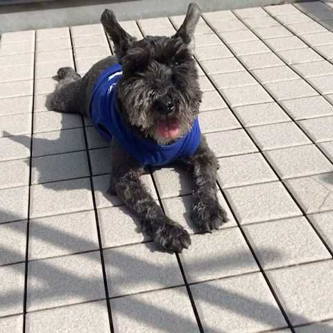 まっちゃん