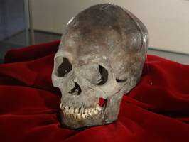 ユーザーアイコン